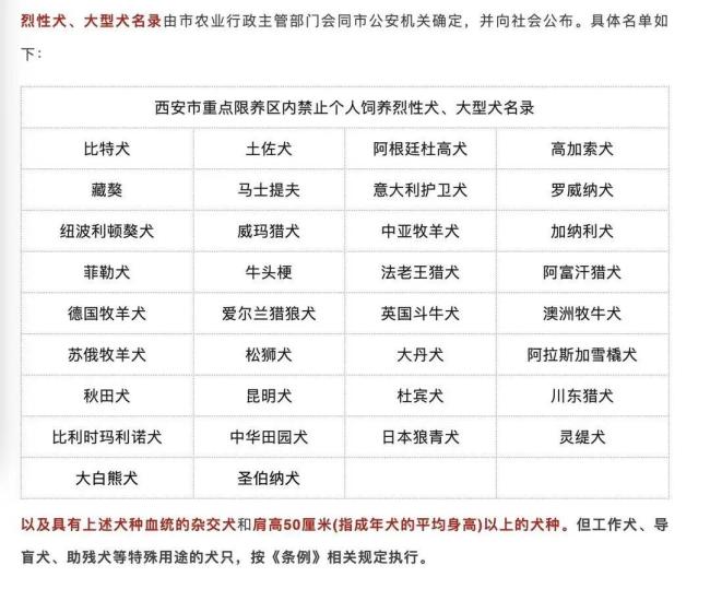 西安回应边牧被列入禁养名单 肩高超50厘米成禁因