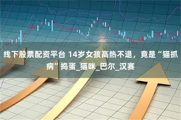 线下股票配资平台 14岁女孩高热不退，竟是“猫抓病”捣蛋_猫咪_巴尔_汉赛