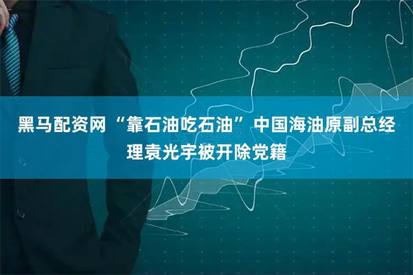 黑马配资网 “靠石油吃石油” 中国海油原副总经理袁光宇被开除党籍